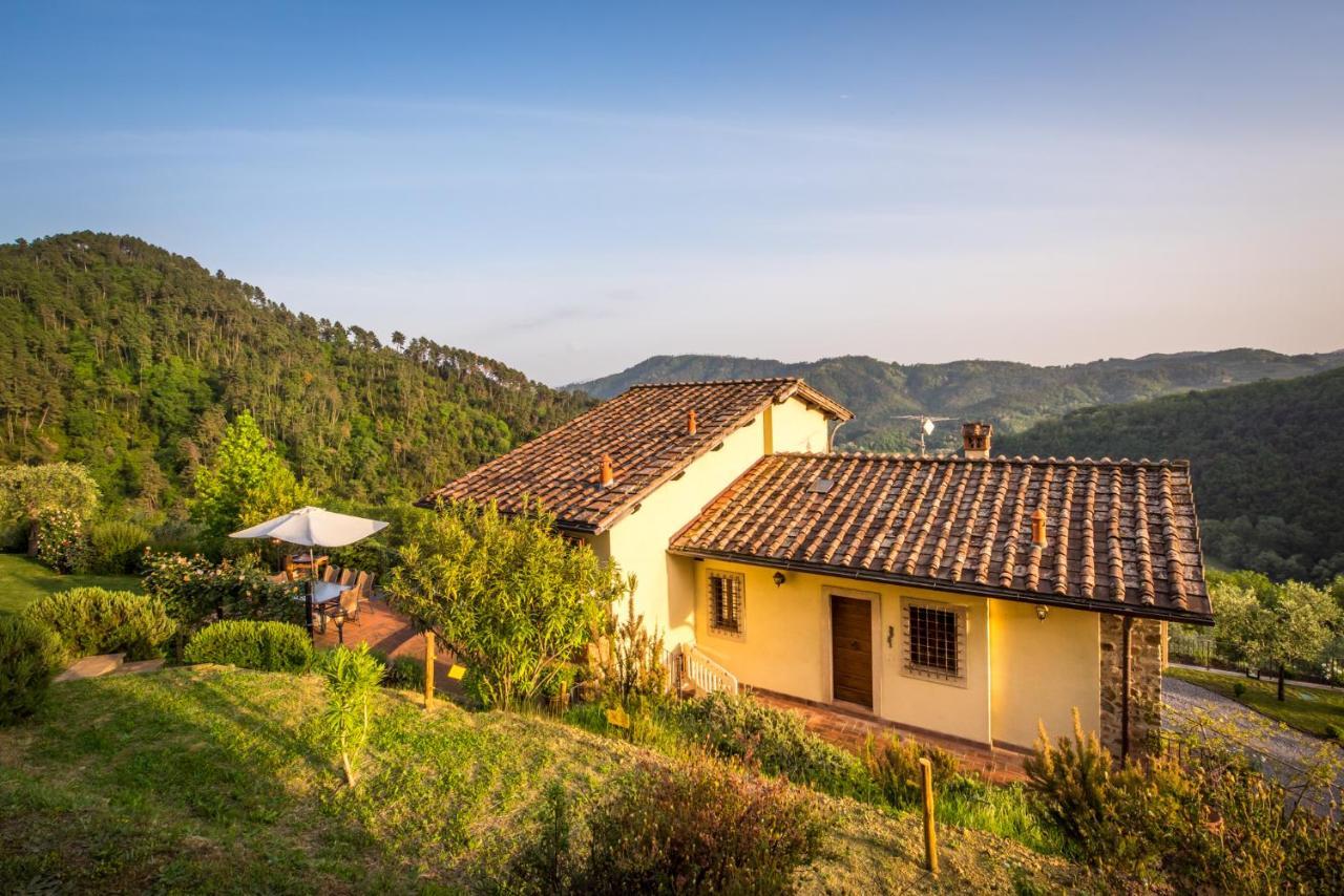 La Pianella Farmhouse Lucca Eksteriør billede